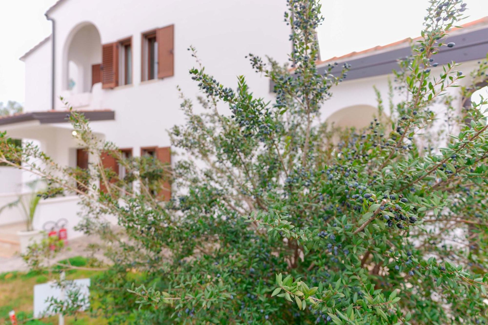 Villa Wunjo Iun R3267 La Maddalena  Εξωτερικό φωτογραφία